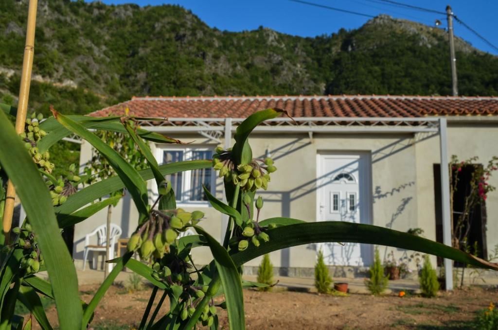 Дома для отпуска Sunlight Cottage Maya Вирпазар