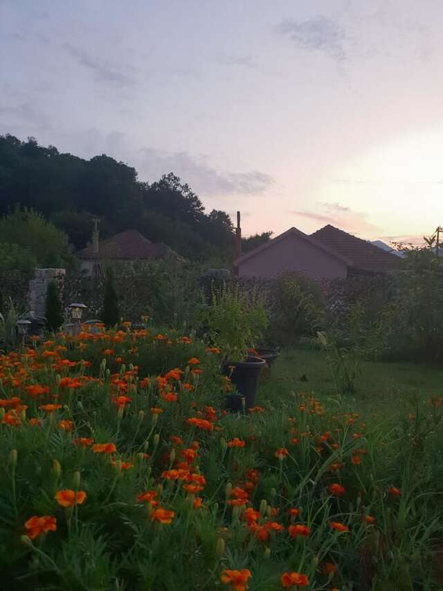 Дома для отпуска Sunlight Cottage Maya Вирпазар-4